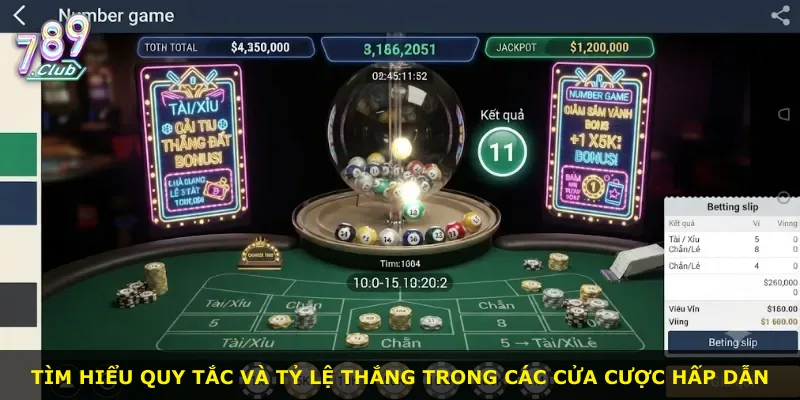 Tìm hiểu quy tắc và tỷ lệ thắng trong các cửa cược hấp dẫn